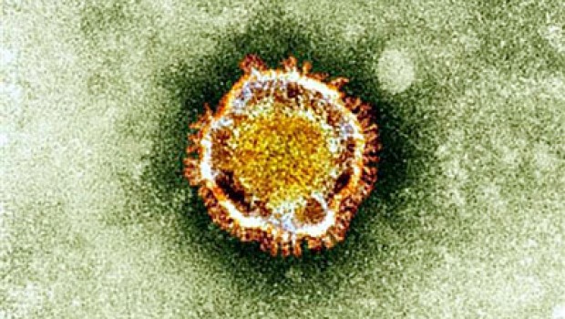 virus virus