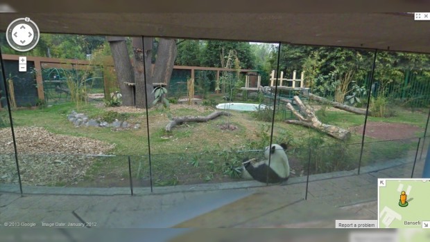 Zoológico de Chapultepec ya puede recorrerse en Google Street View
