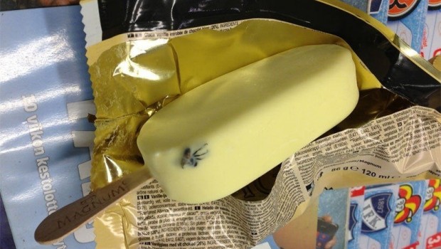 FOTO: Encuentran araña en paleta Magnum de vainilla