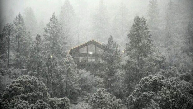 Reportan capa de nieve de hasta 15 centímetros en Sierra de Arteaga, Coahuila