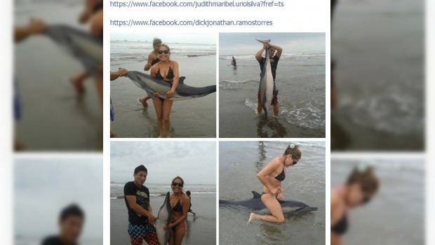 Indigna a redes sociales serie fotográfica de pareja jugando con delfín